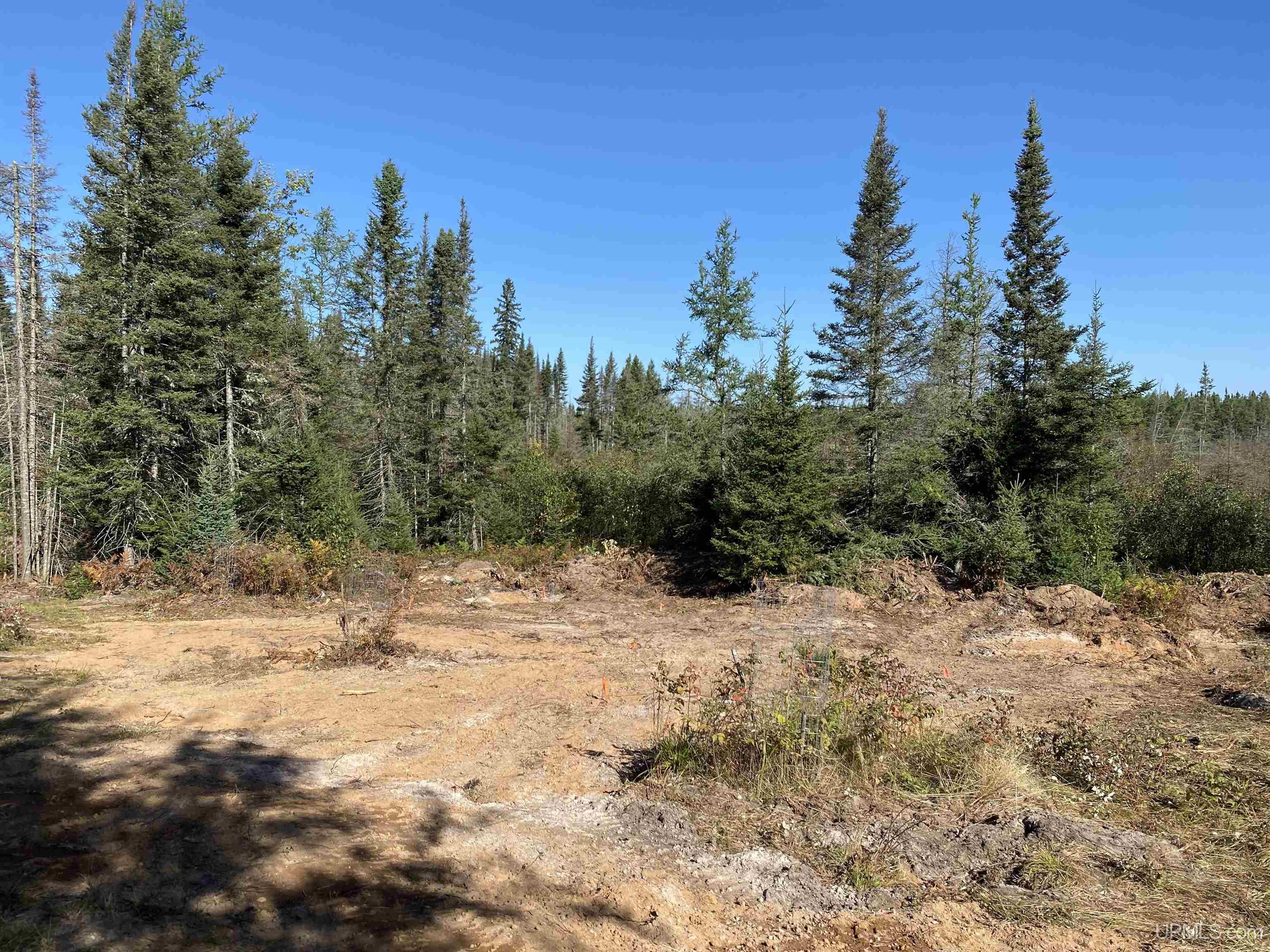 5586 South Helen Lake Road Ishpeming, MI 49849 - Photo 41 of 54