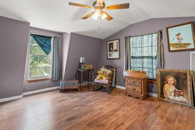 a backyard of a house with plants and large tree