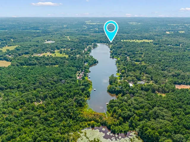 a view of a tree in front of a house