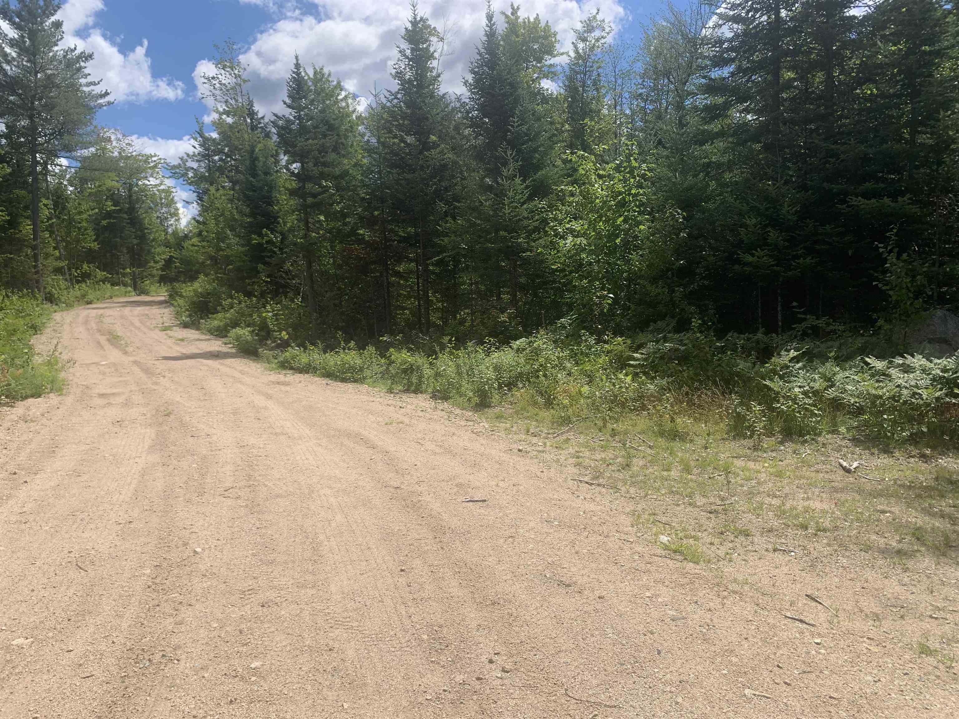 4.7 Pike Pond Road Stark, NH 03582 - Photo 5 of 11