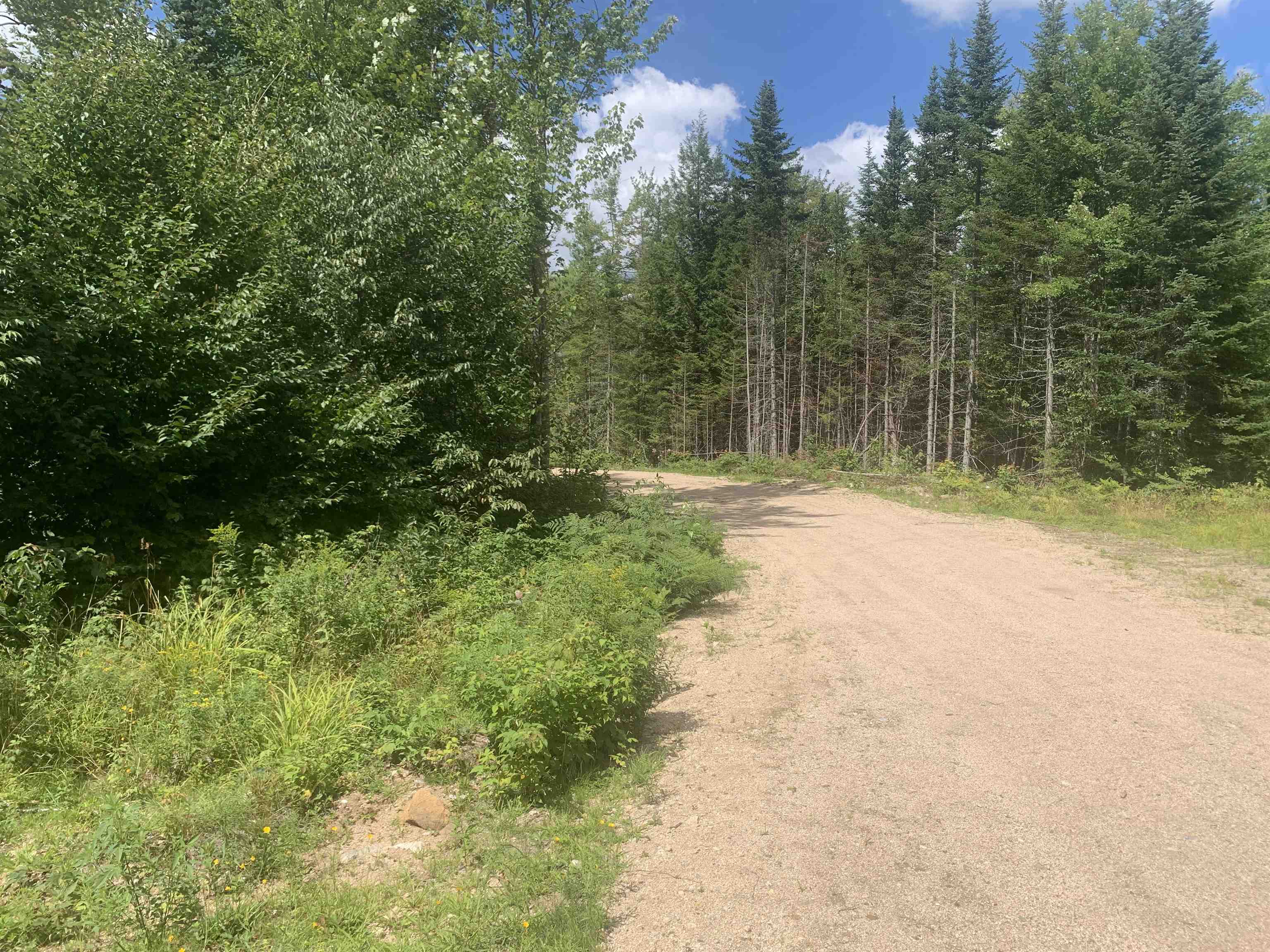 4.7 Pike Pond Road Stark, NH 03582 - Photo 6 of 11