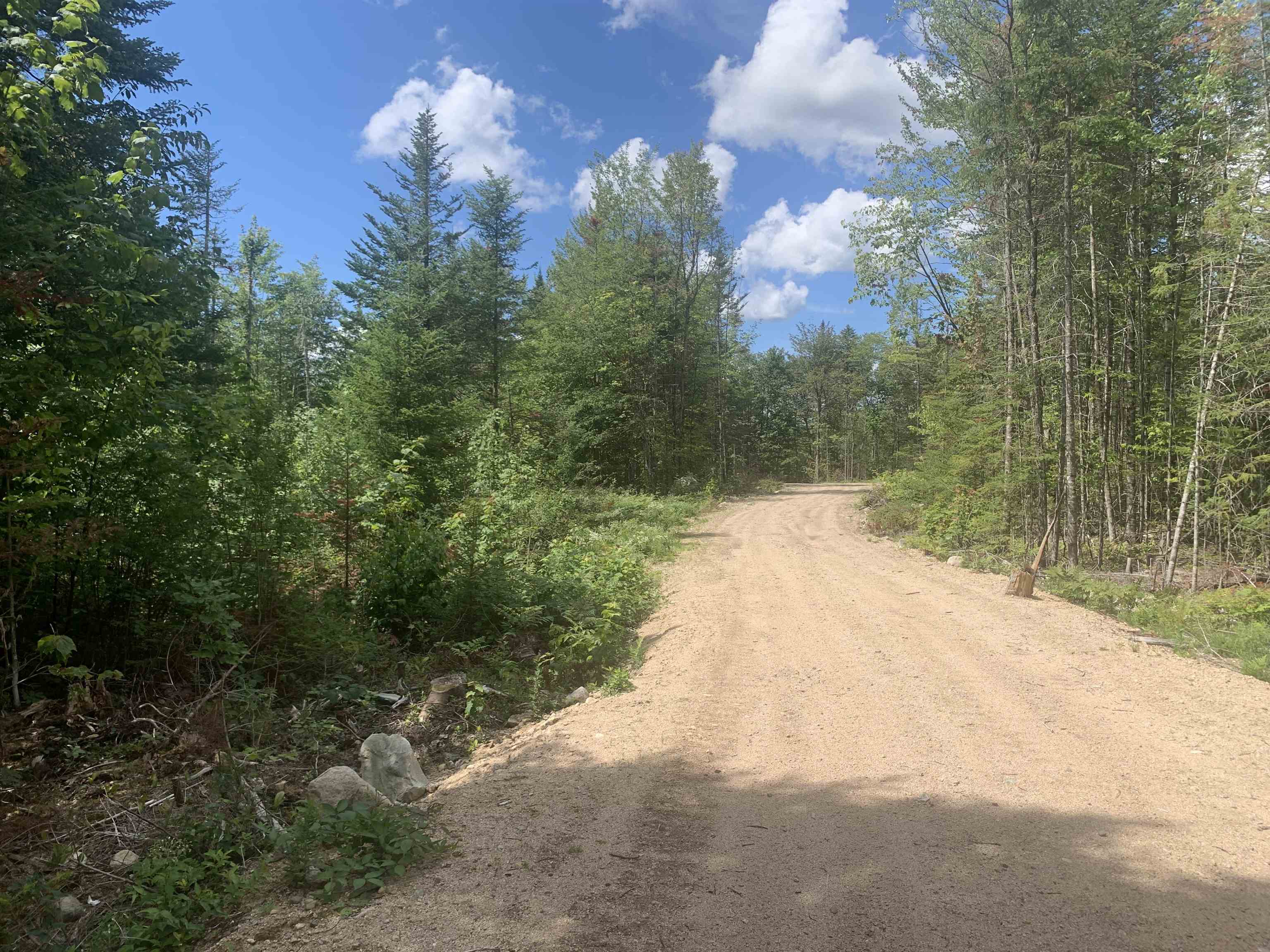 4.7 Pike Pond Road Stark, NH 03582 - Photo 8 of 11