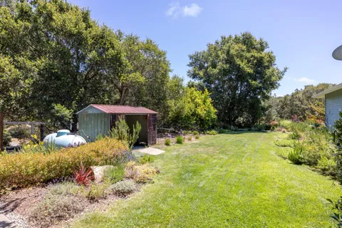 a view of a backyard with plants and a garden