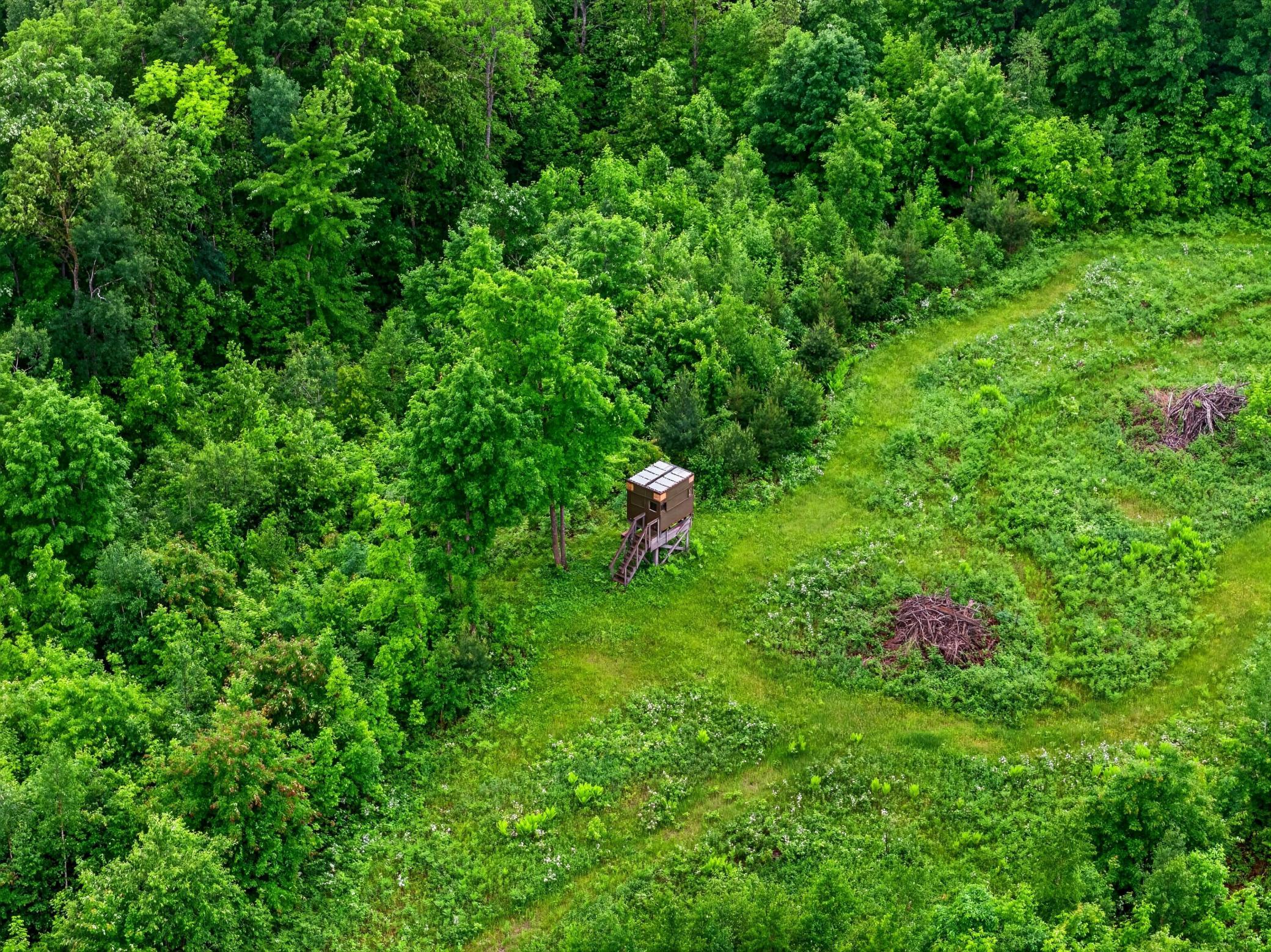 Tbd Shady Lane Trego, WI 54888 - Photo 8 of 26
