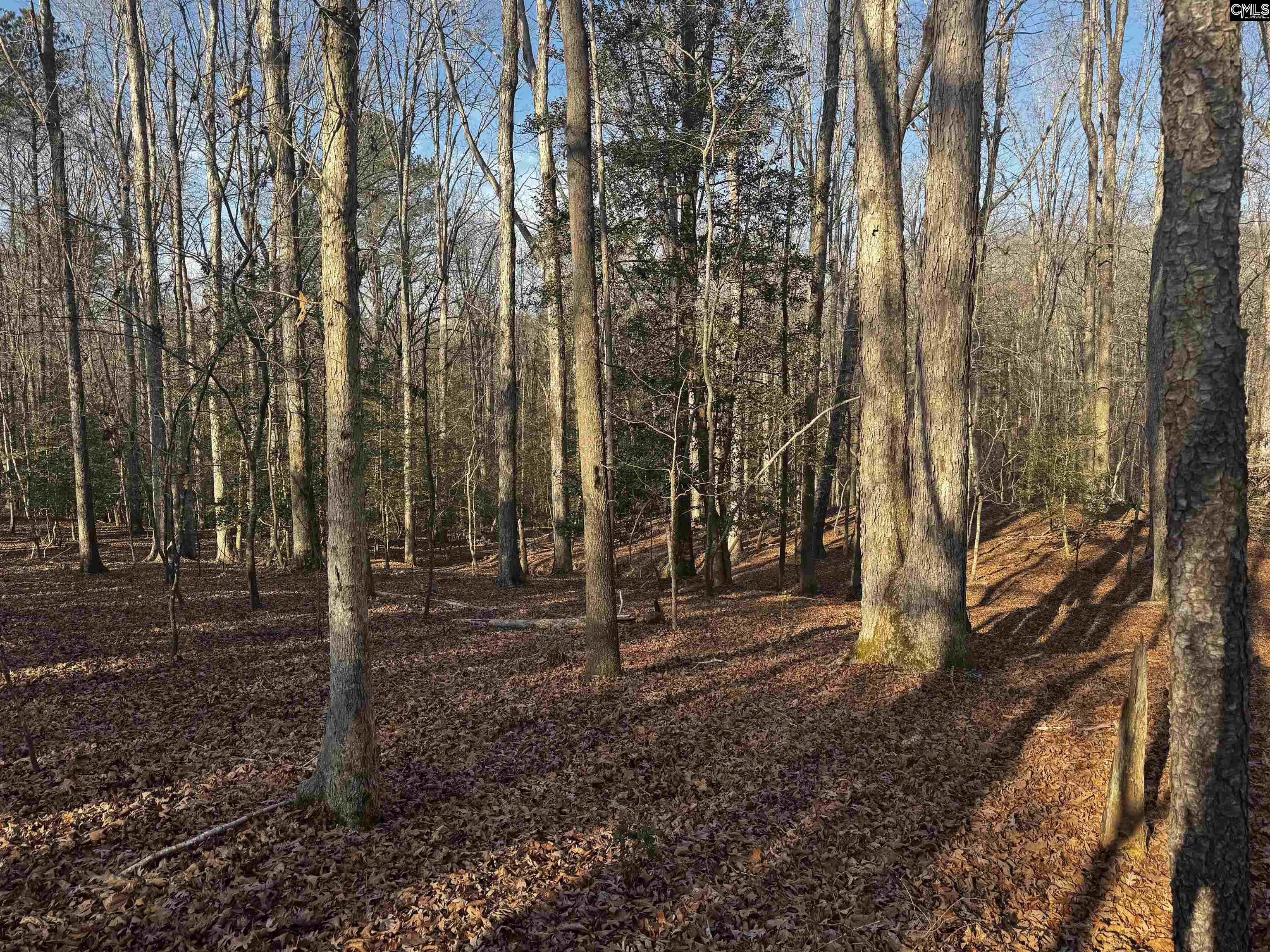 0 Mann Road Winnsboro, SC 29180 - Photo 3 of 22