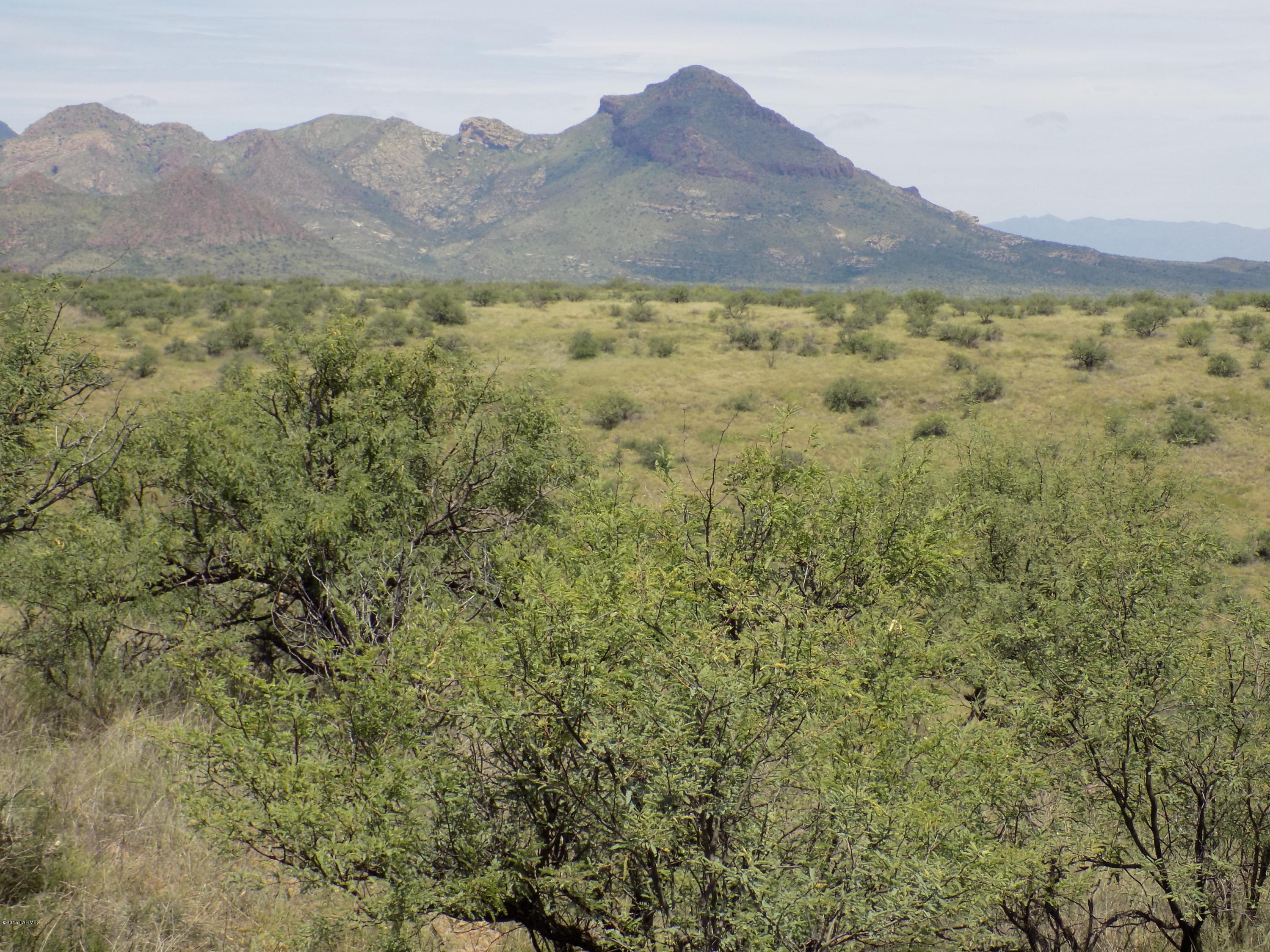 Tbd Tbd Rio Rico Rio Rico, AZ 85648 - Photo 3 of 10 Gallery Image 3