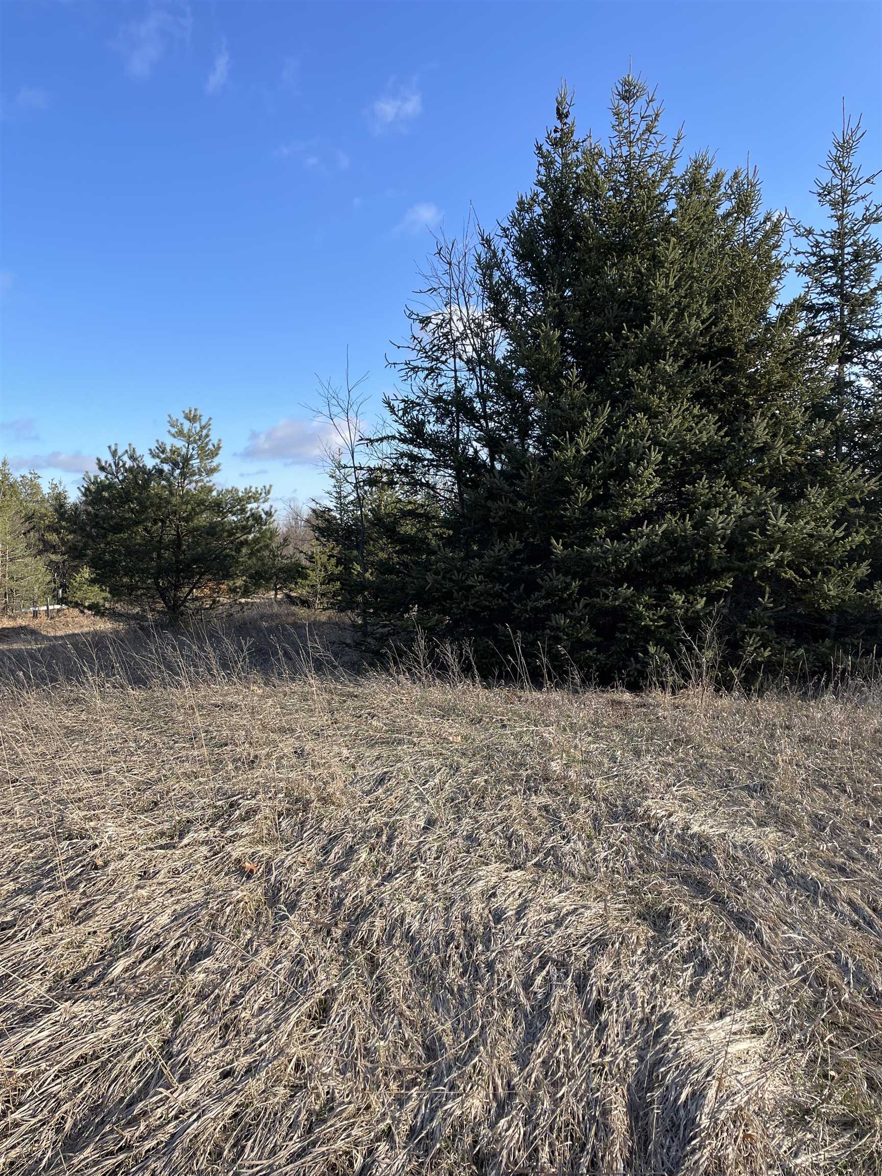 0 East No 10 1/2 Road Manton, MI 49663 - Photo 2 of 9