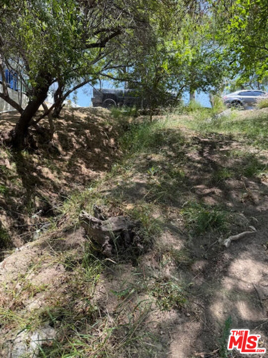 0 West Avenue 37 Los Angeles, CA 90065 - Photo 2 of 12 a backyard of a house