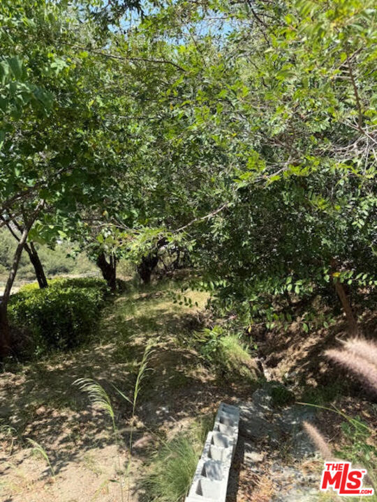 0 West Avenue 37 Los Angeles, CA 90065 - Photo 3 of 12 a view of a tree