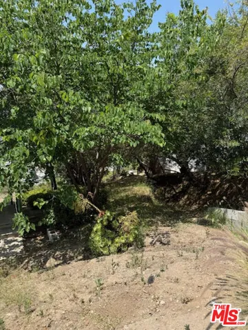 a view of a yard covered with trees