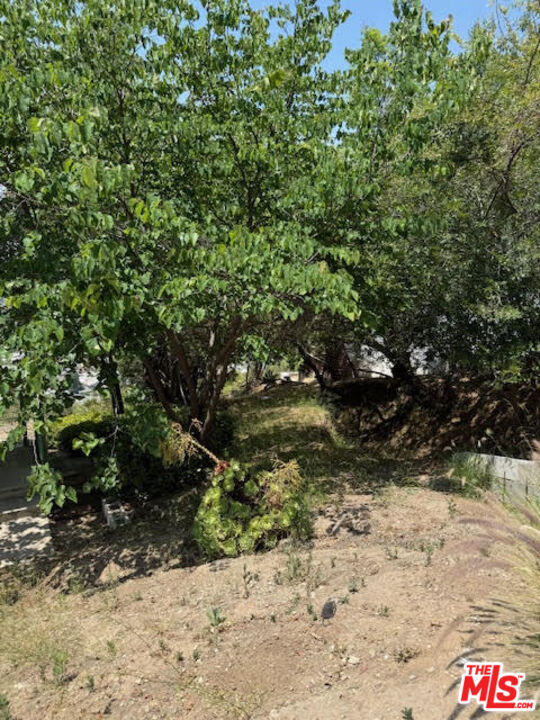 0 West Avenue 37 Los Angeles, CA 90065 - Photo 4 of 12 a view of a yard covered with trees