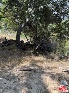 a view of outdoor space and trees