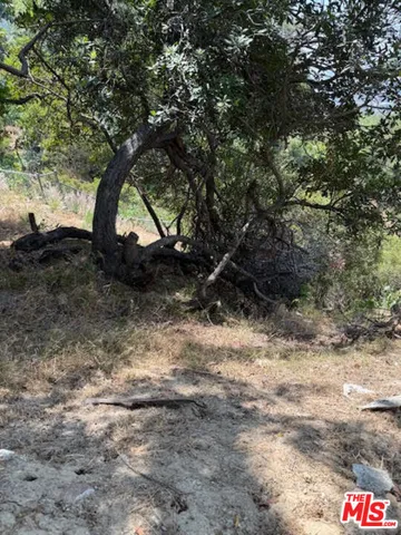 a view of outdoor space and trees