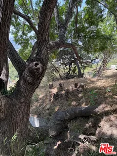 a backyard of a house