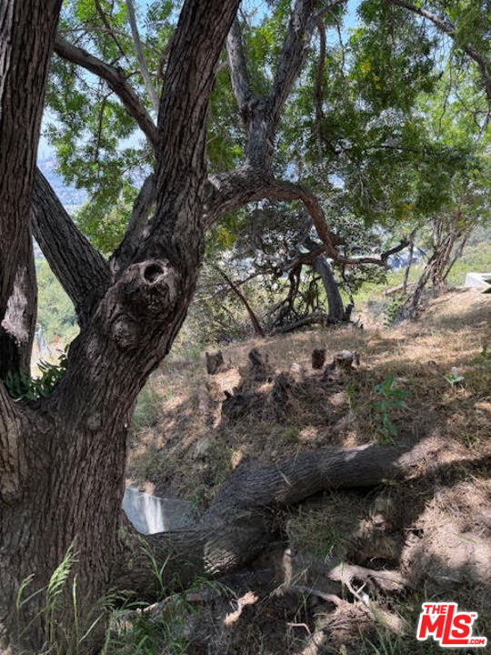 0 West Avenue 37 Los Angeles, CA 90065 - Photo 7 of 12 a backyard of a house