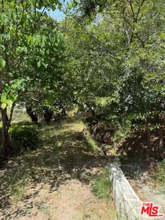 a view of a tree with a tree