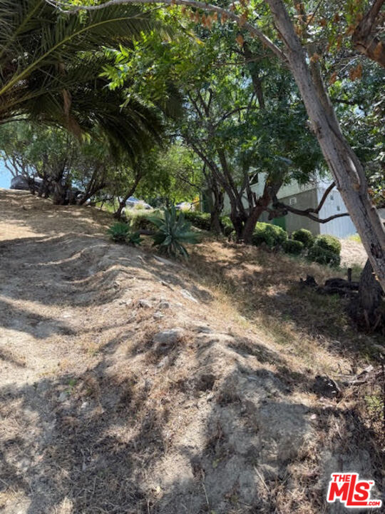0 West Avenue 37 Los Angeles, CA 90065 - Photo 9 of 12 a backyard of a house with lots of green space