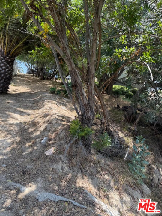 0 West Avenue 37 Los Angeles, CA 90065 - Photo 10 of 12 a backyard of a house with lots of green space