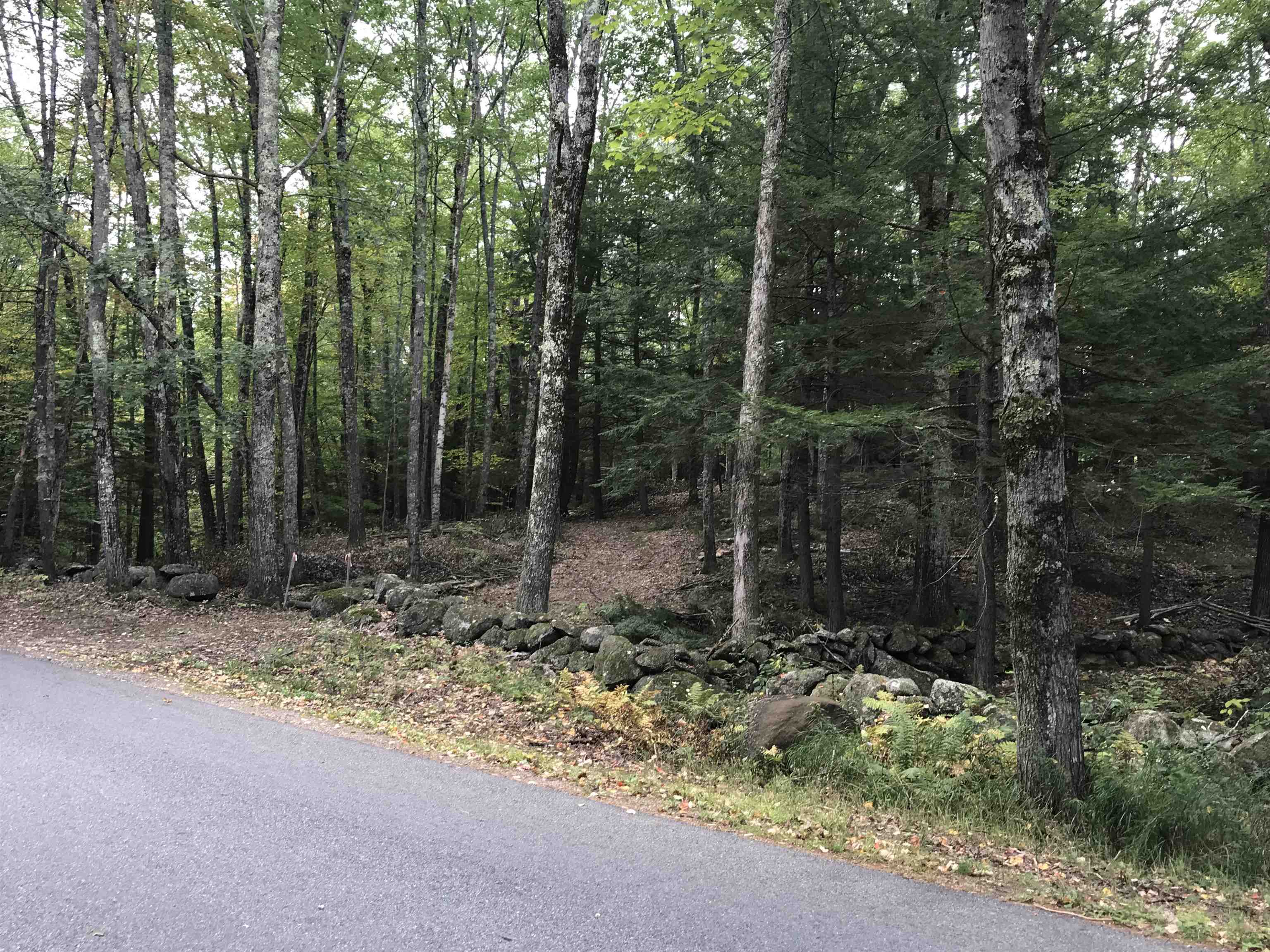0 Middle Road, Unit MAP R2 LOT 32 Hancock, NH 03449 - Photo 2 of 8