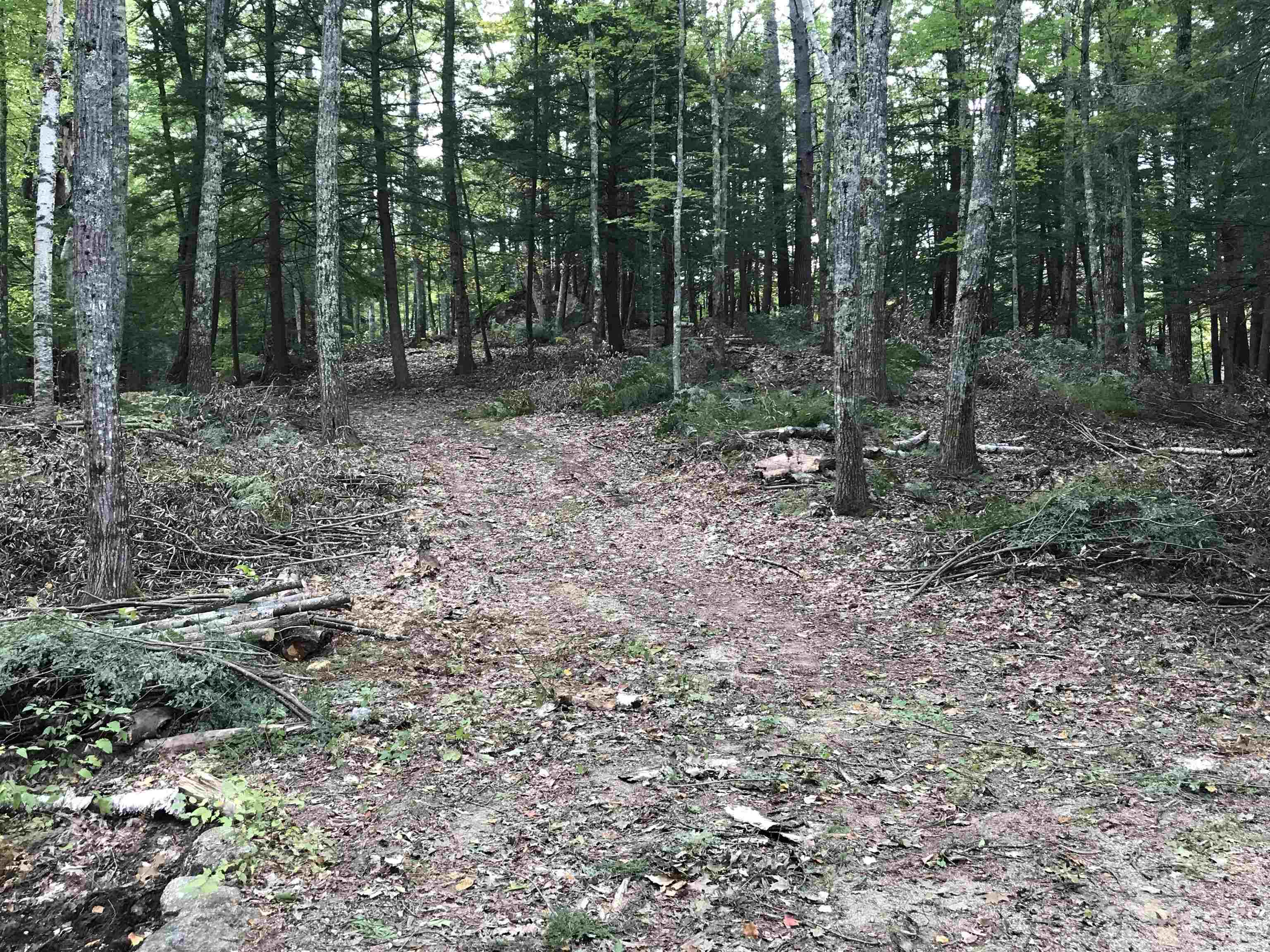 0 Middle Road, Unit MAP R2 LOT 32 Hancock, NH 03449 - Photo 3 of 8