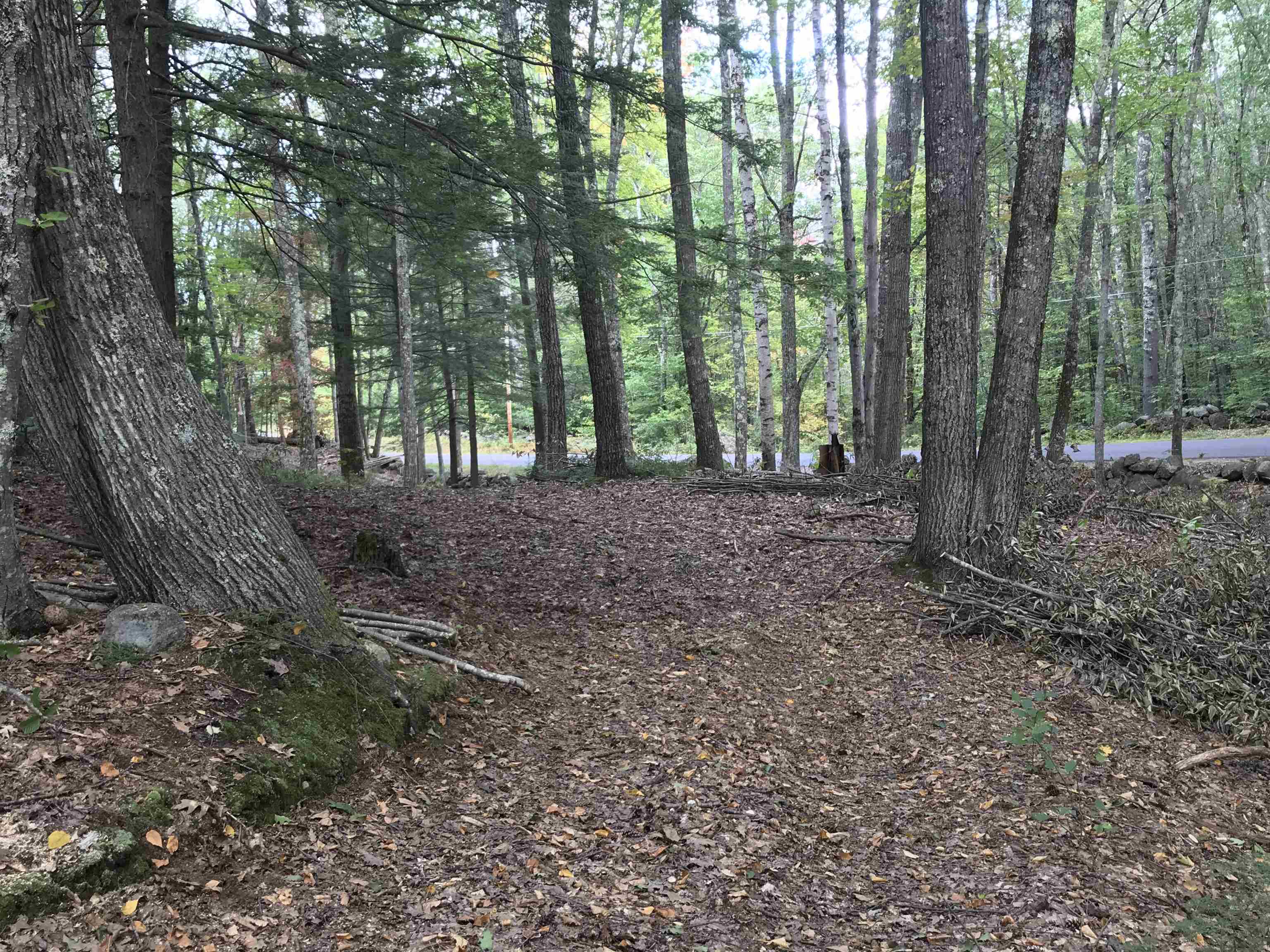 0 Middle Road, Unit MAP R2 LOT 32 Hancock, NH 03449 - Photo 6 of 8