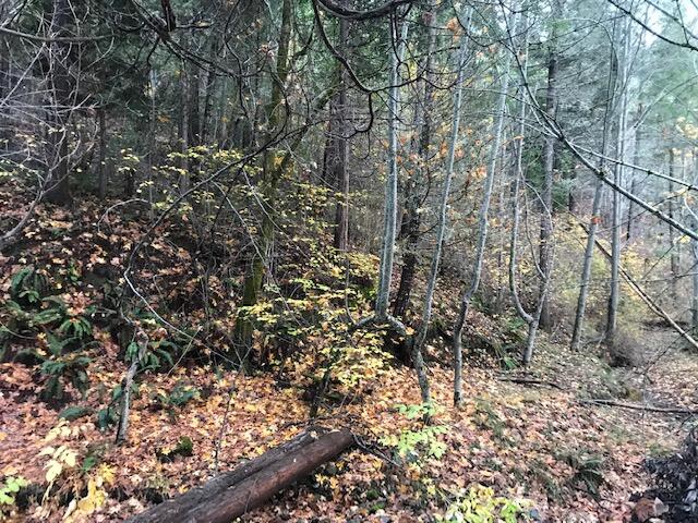 4207 Wards Creek Road Rogue River, OR 97537 - Photo 5 of 10 IMG_3484