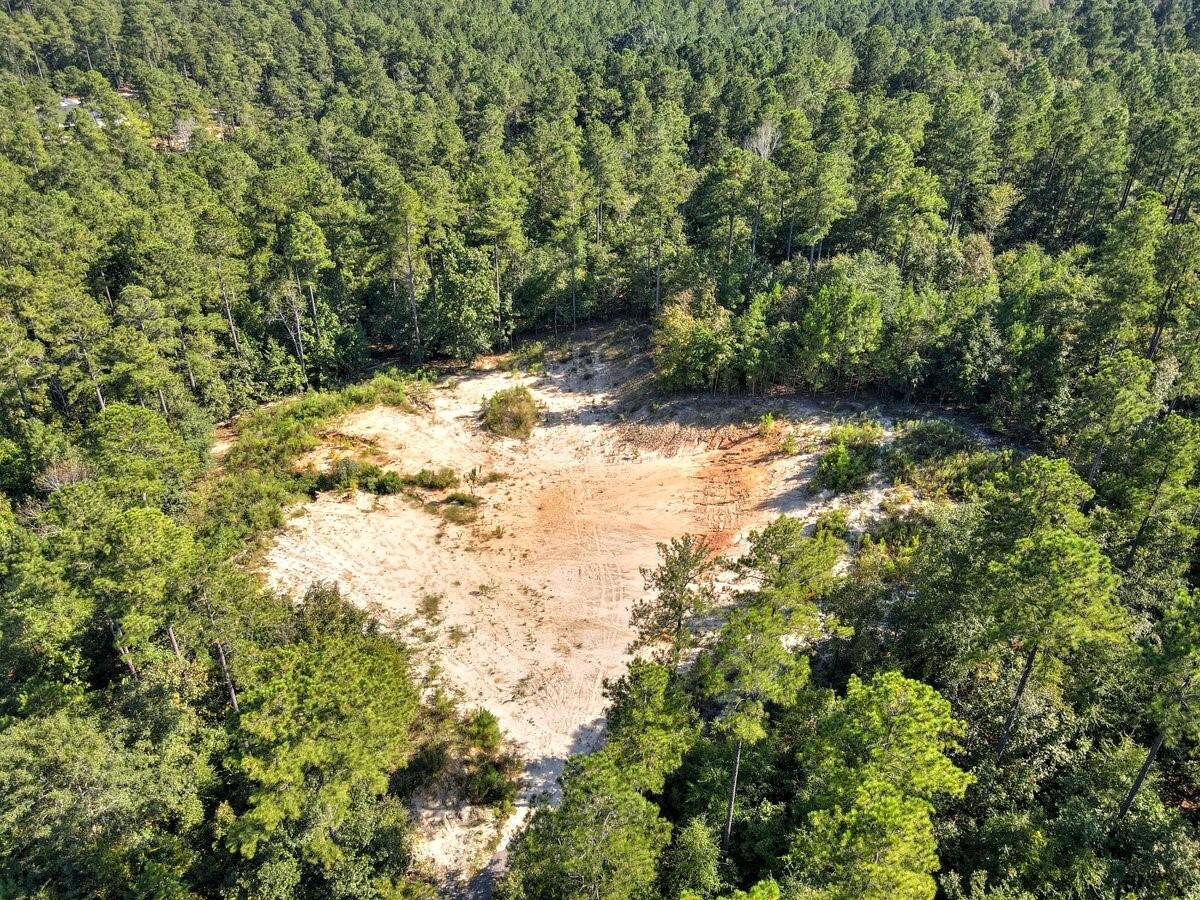 Lot 7 Anderson Pond Road Wagener, SC 29164 - Photo 2 of 7
