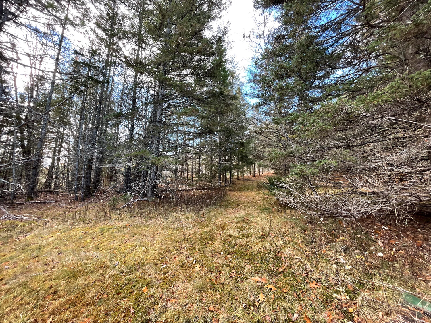 Lot #9-4 Oak Hill Road Mount Desert, ME 04660 - Photo 12 of 13 IMG_1042