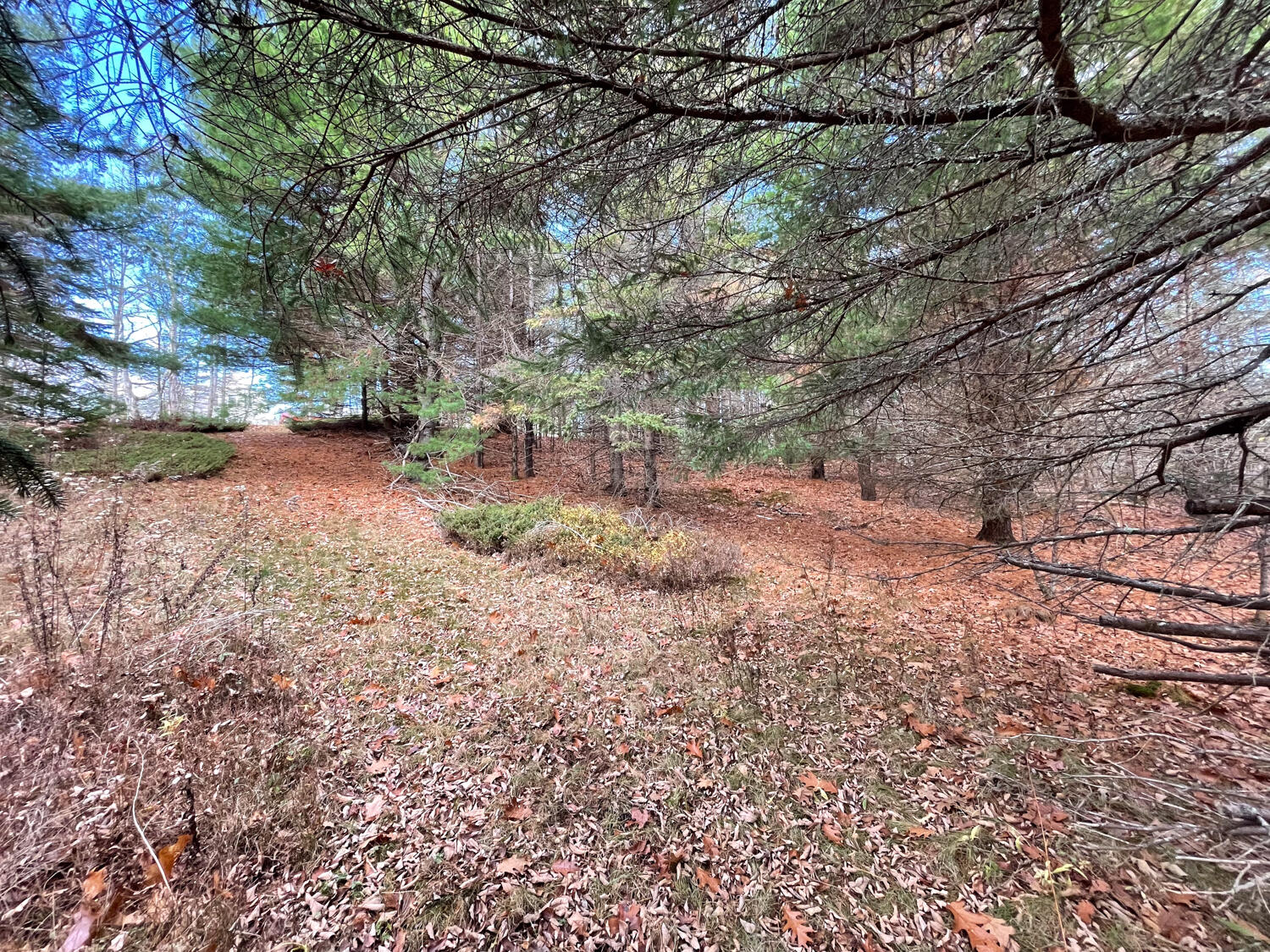 Lot #9-4 Oak Hill Road Mount Desert, ME 04660 - Photo 6 of 13 IMG_1035