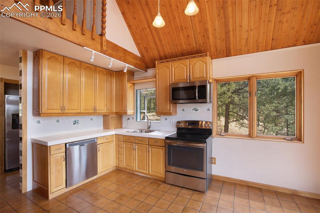 2061 Spruce Road Woodland Park, CO 80863 - Photo 11 of 26 a kitchen with stainless steel appliances a stove a sink and a microwave