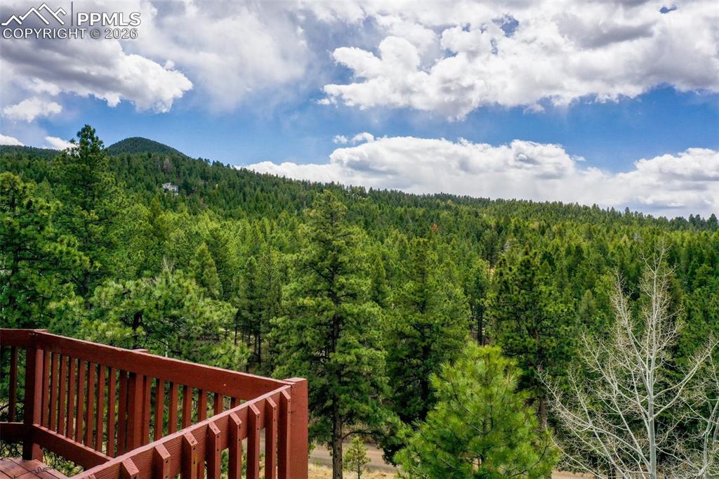 2061 Spruce Road Woodland Park, CO 80863 - Photo 25 of 26 a view of a green yard