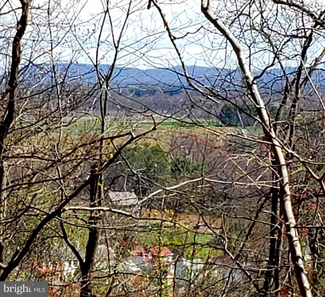 LOOKING NORTHWEST - HILLSBORO WINERY BELOW