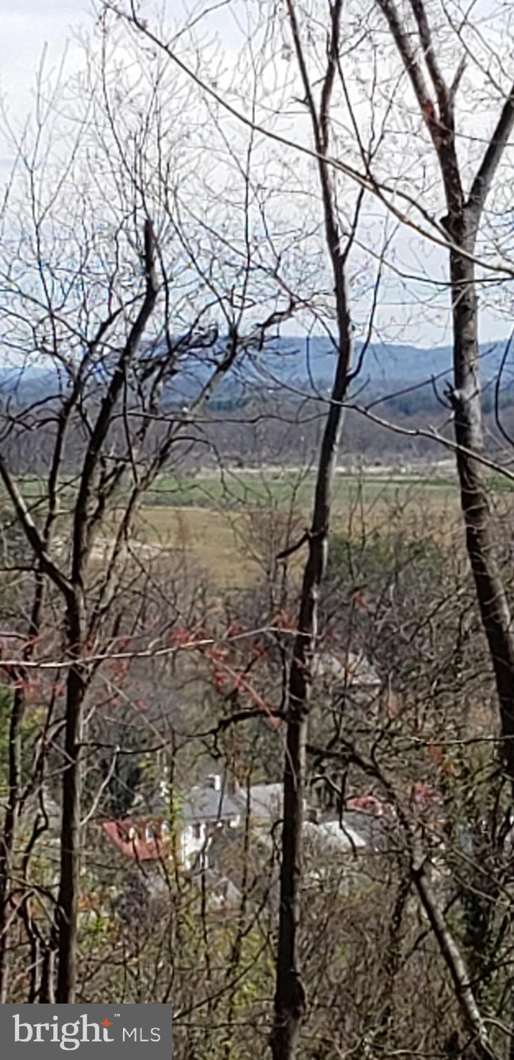 Stony Point Road Purcellville, VA 20132 - Photo 22 of 25 LOOKING NORTHWEST - HILLSBORO WINERY BELOW