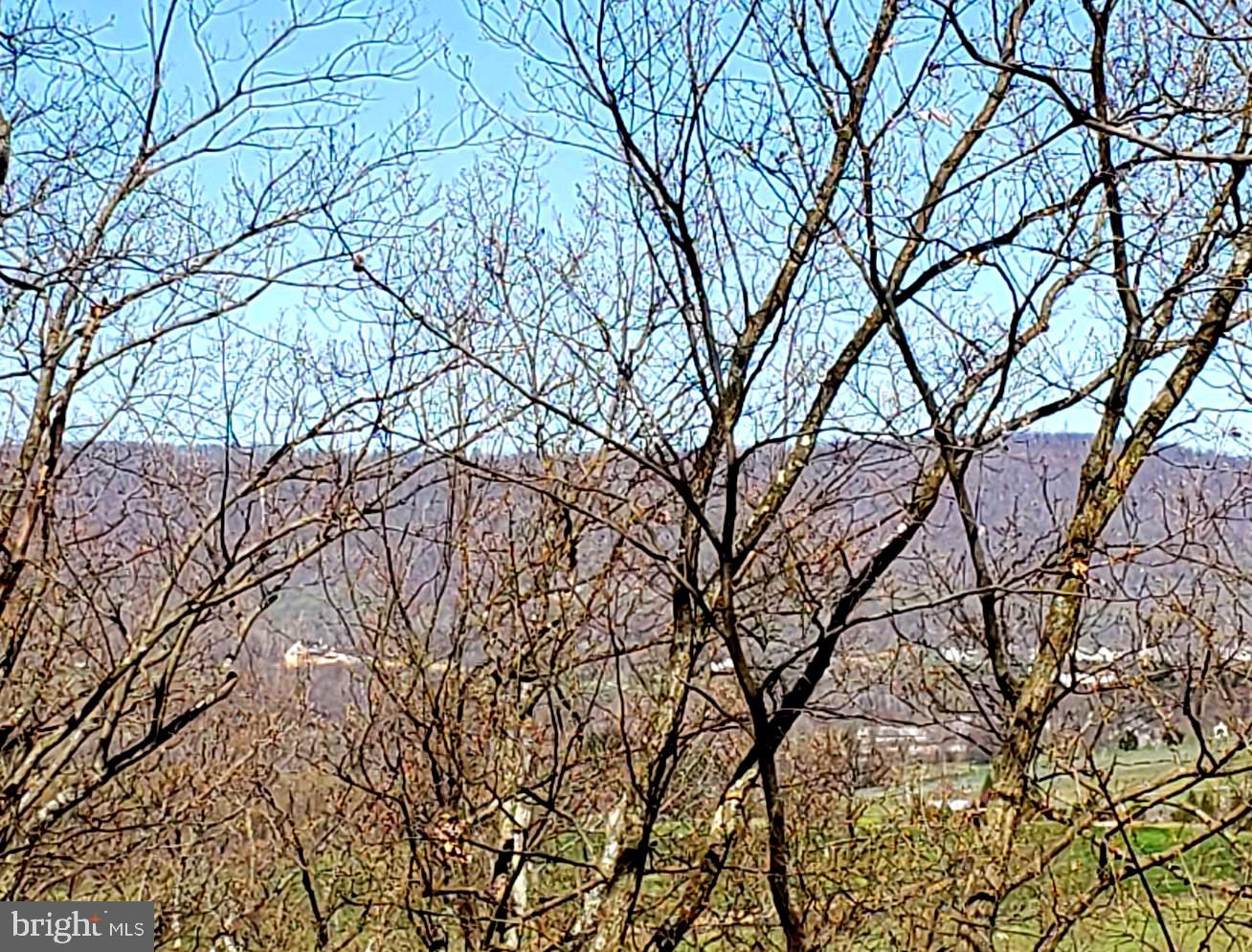 LOOKING WEST/NORTHWEST FROM SUBJECT PROPERTY