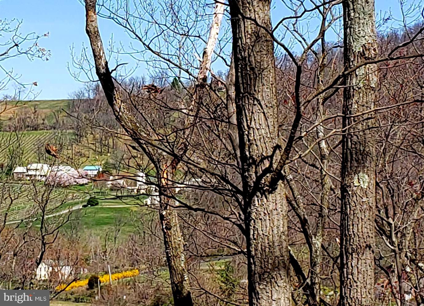 Stony Point Road Purcellville, VA 20132 - Photo 9 of 25 LOOKING WEST/NORTHWEST FROM SUBJECT PROPERTY