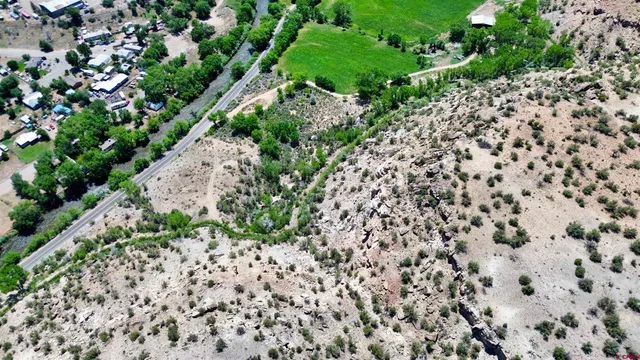 a picture of flowers