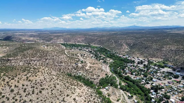 a view of a bunch of trees