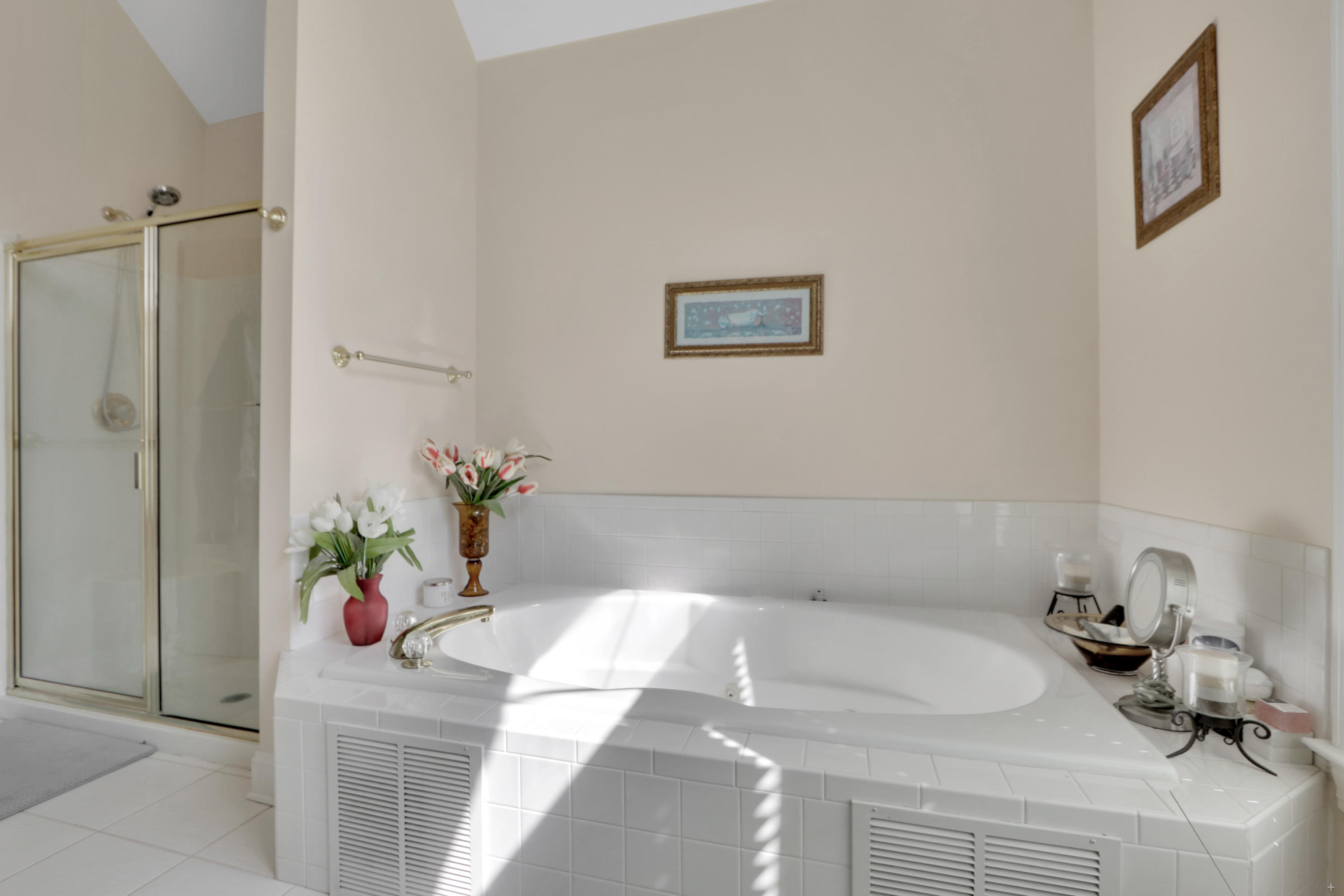 12898 Long Ridge Road Knoxville, TN 37934 - Photo 19 of 36 Master bath
