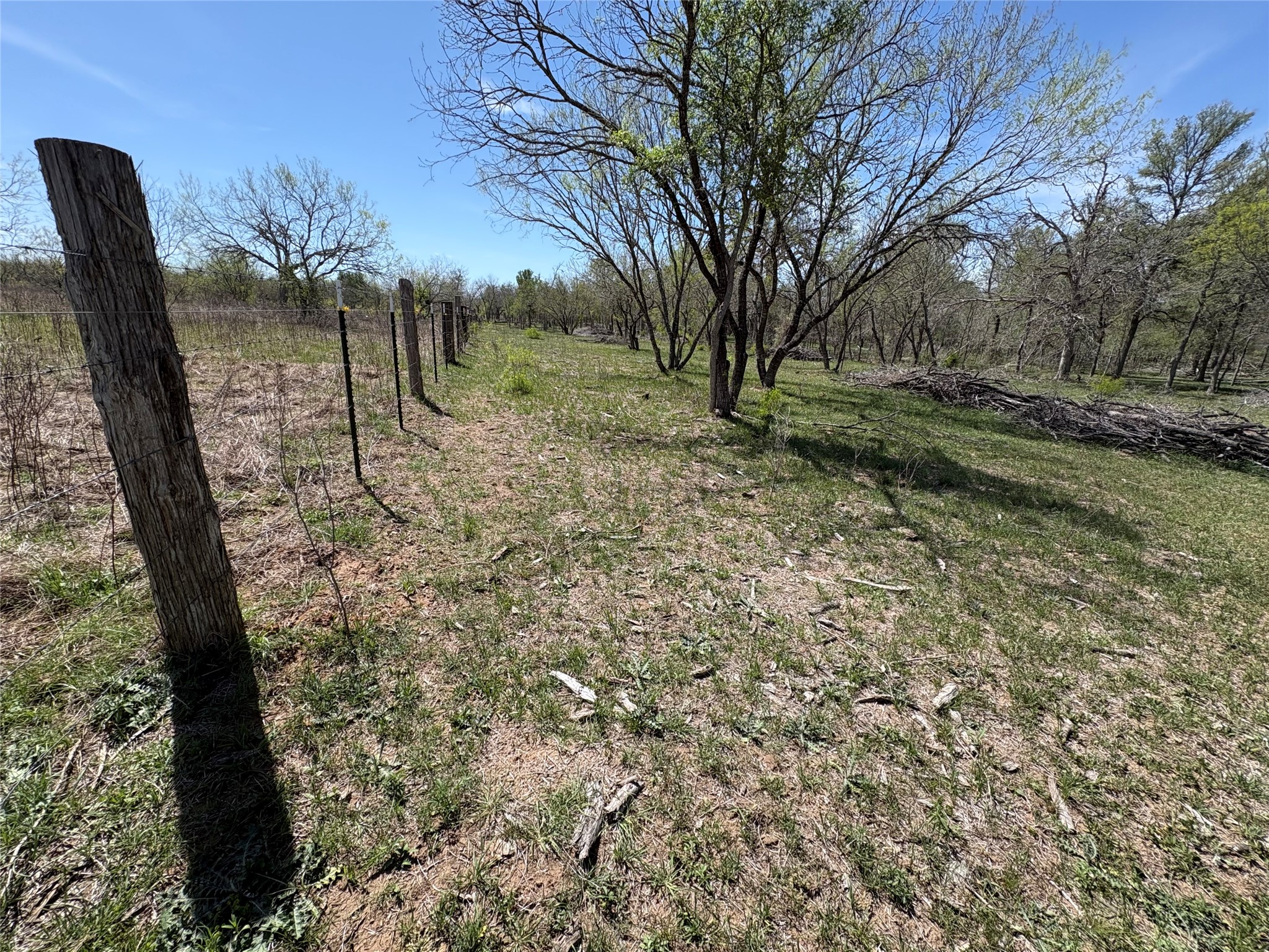 1285 Burdette Wells Road Lockhart, TX 78644 - Photo 11 of 36 a view of backyard with green space