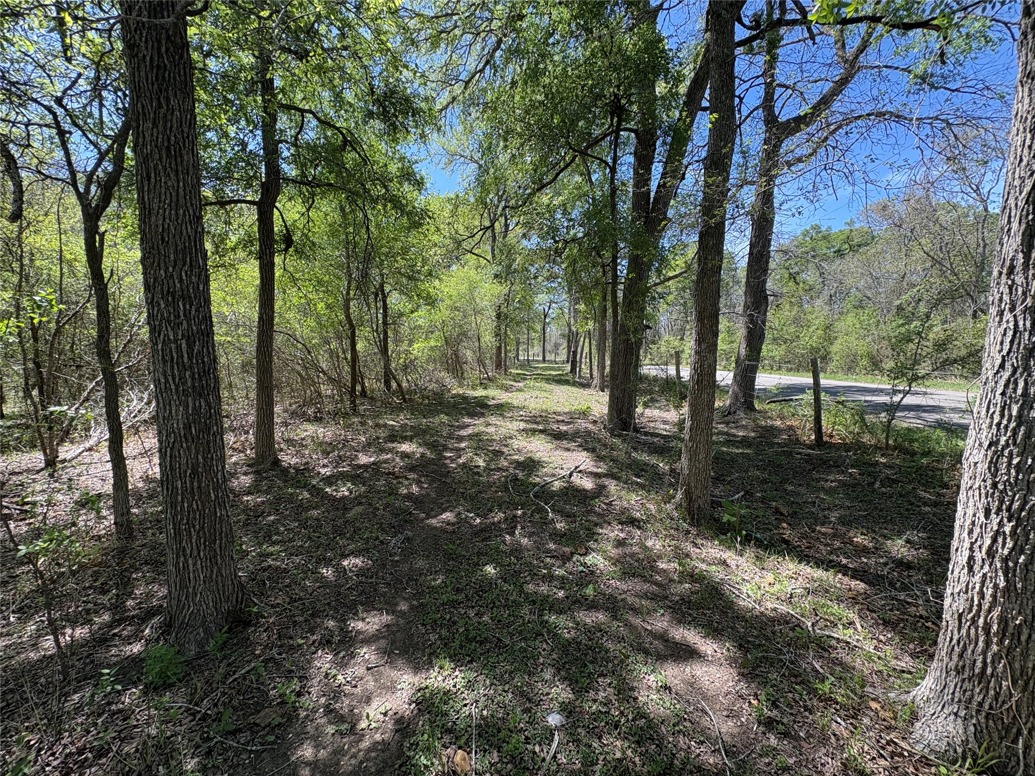1285 Burdette Wells Road Lockhart, TX 78644 - Photo 11 of 32 View of nature