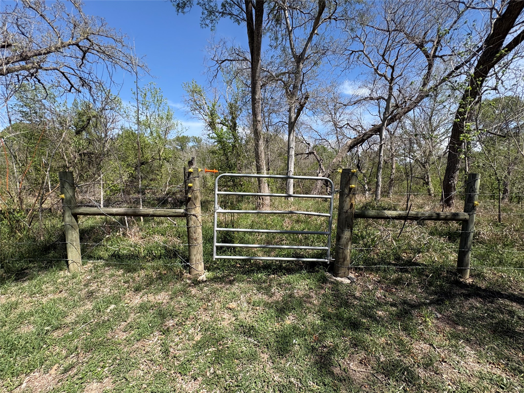 1285 Burdette Wells Road Lockhart, TX 78644 - Photo 12 of 32 View of gate