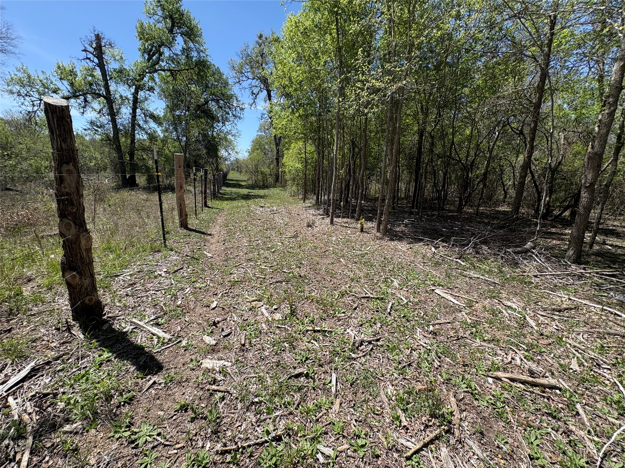 1285 Burdette Wells Road Lockhart, TX 78644 - Photo 17 of 36 a view of backyard with trees