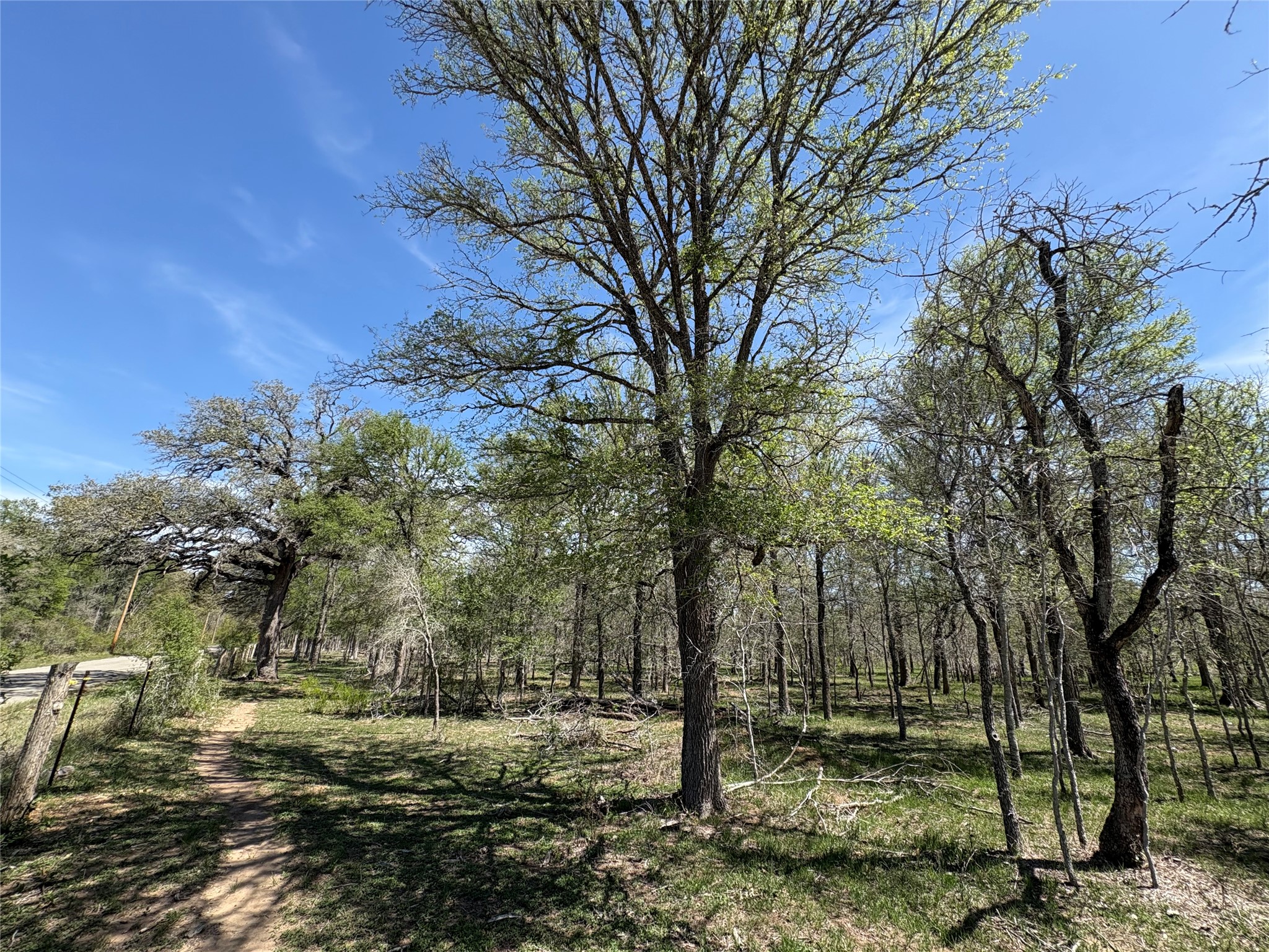 1285 Burdette Wells Road Lockhart, TX 78644 - Photo 19 of 36 a view of a yard with a tree