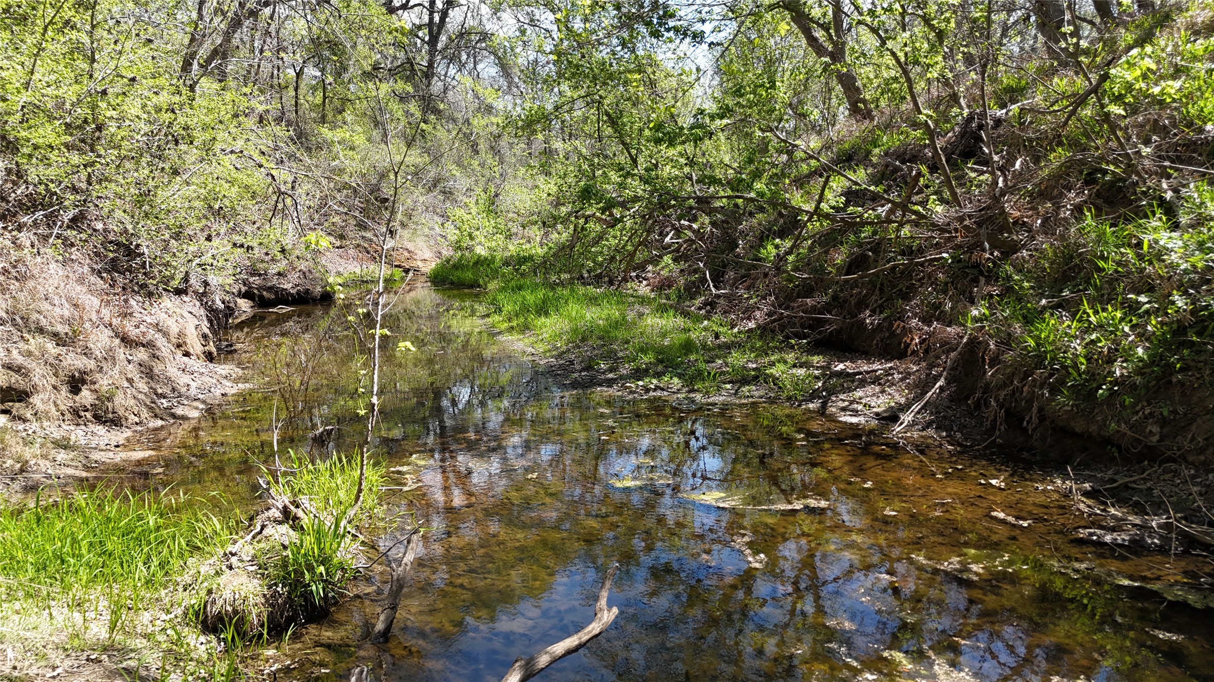 1285 Burdette Wells Road Lockhart, TX 78644 - Photo 27 of 32 View of nature featuring a nearby body of water