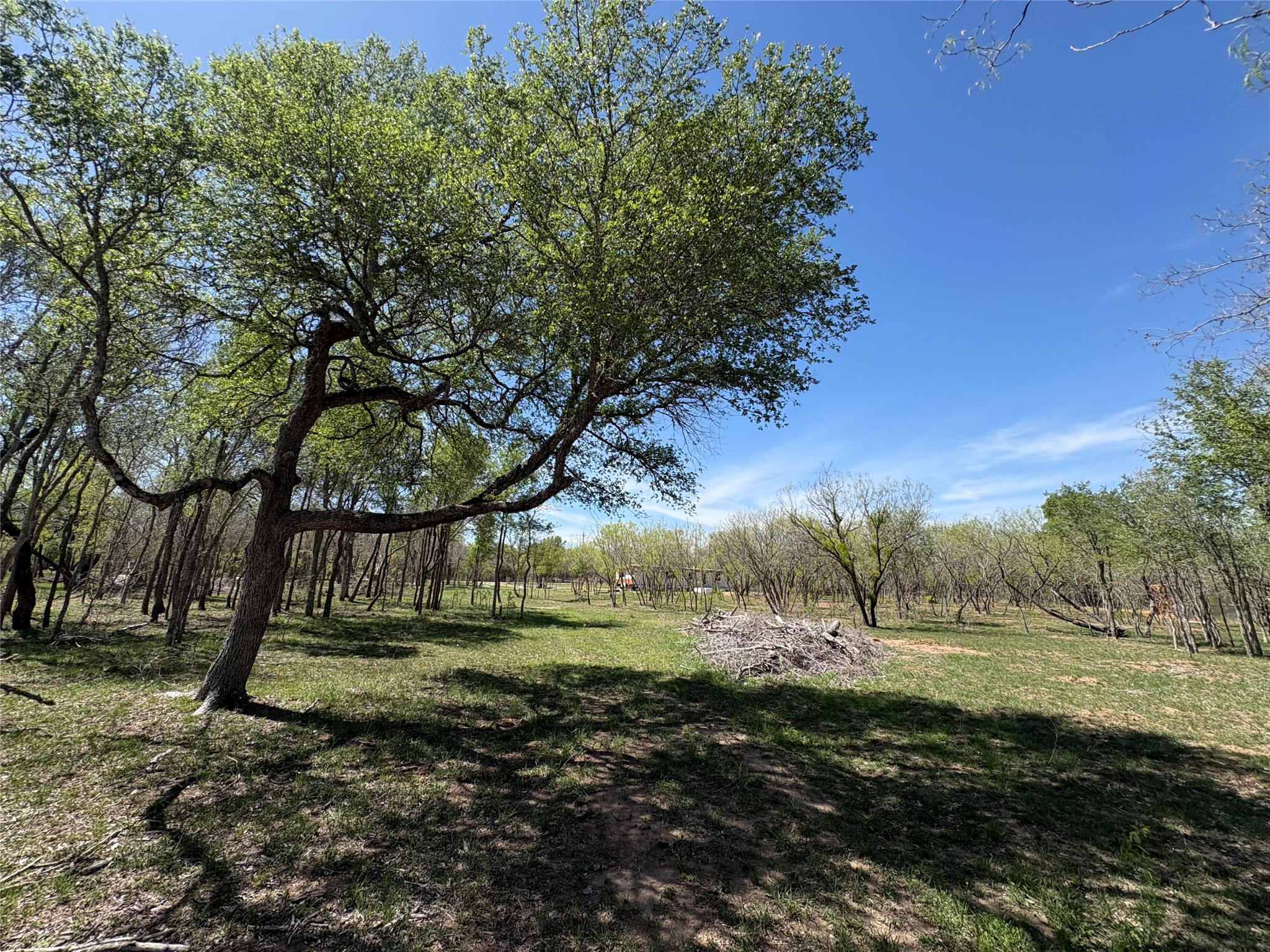 1285 Burdette Wells Road Lockhart, TX 78644 - Photo 3 of 32 View of yard