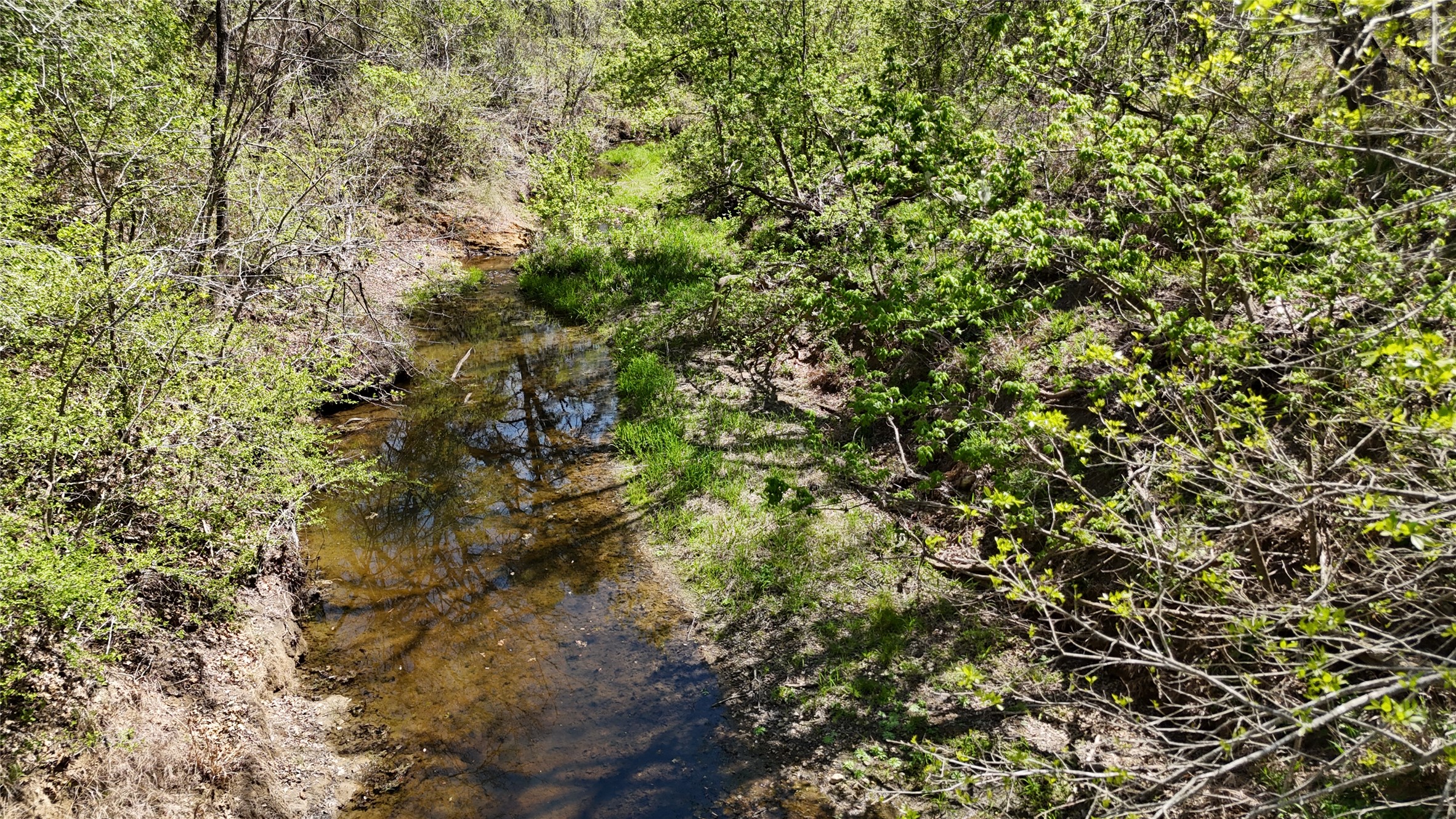 1285 Burdette Wells Road Lockhart, TX 78644 - Photo 31 of 32 View of local wilderness
