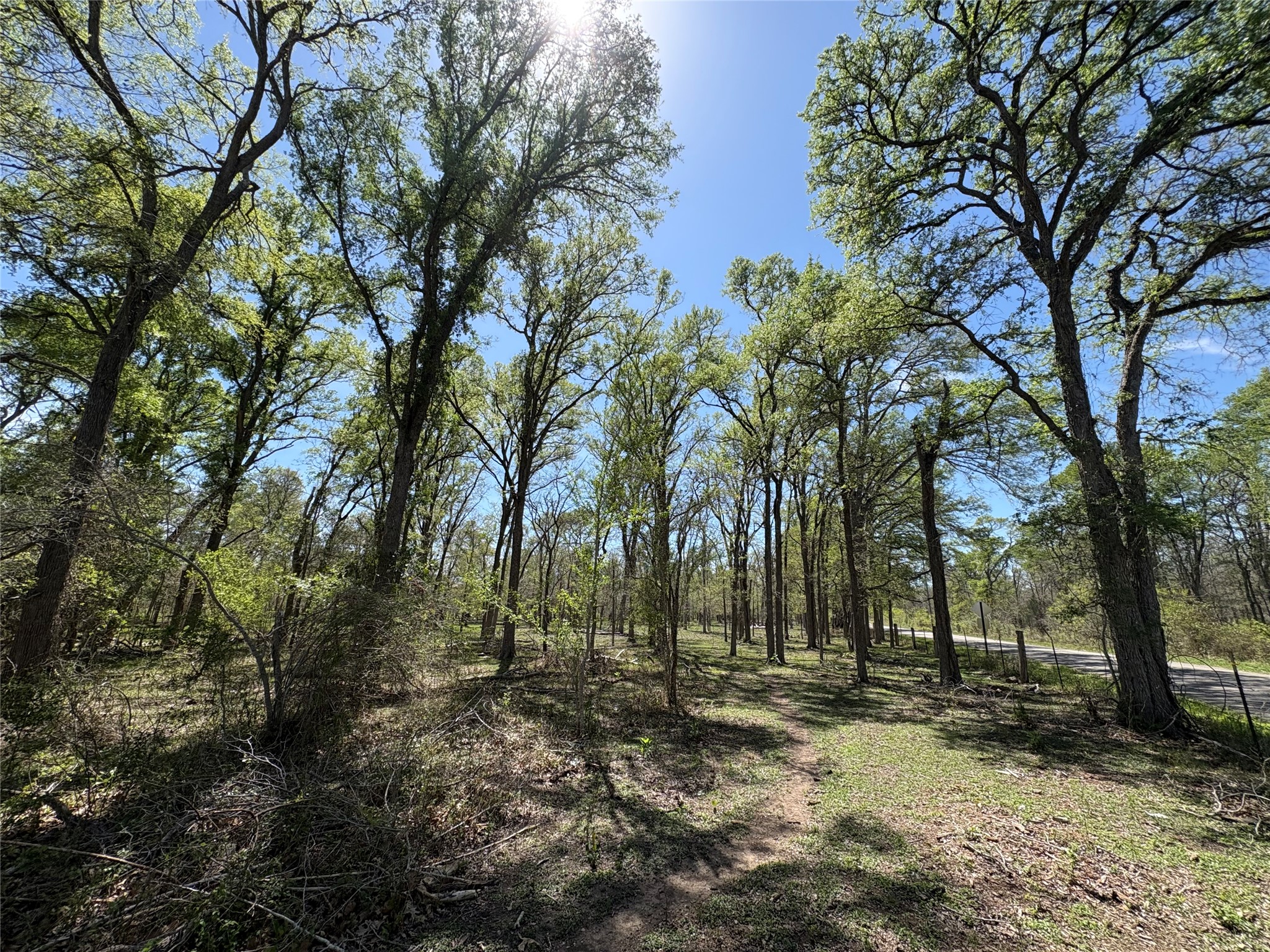 1285 Burdette Wells Road Lockhart, TX 78644 - Photo 8 of 32 View of local wilderness