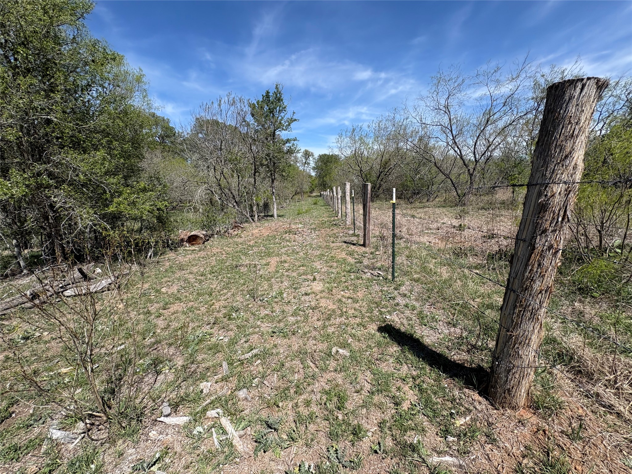 1285 Burdette Wells Road Lockhart, TX 78644 - Photo 10 of 36 a view of a yard with an outdoor space