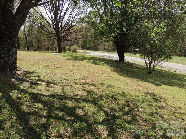 a view of yard with trees