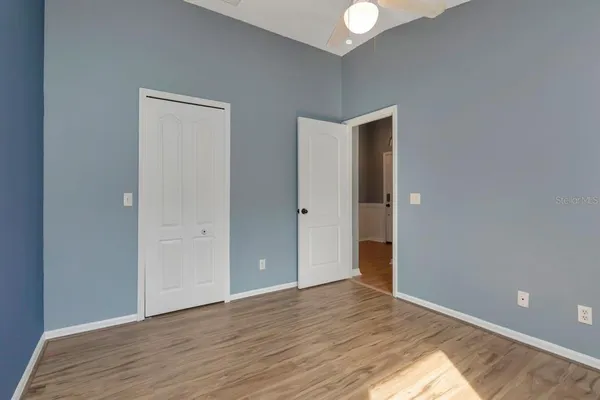 a view of a garden with palm trees